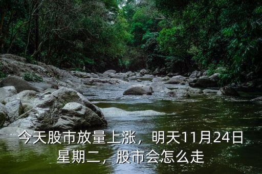 今天股市放量上漲，明天11月24日星期二，股市會怎么走