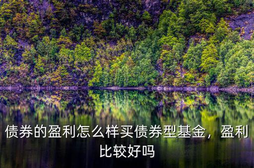 債券的盈利怎么樣買債券型基金，盈利比較好嗎