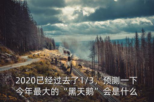 2020已經(jīng)過(guò)去了1/3，預(yù)測(cè)一下今年最大的“黑天鵝”會(huì)是什么