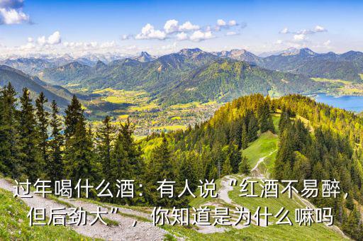 過年喝什么酒：有人說“紅酒不易醉，但后勁大”，你知道是為什么嘛嗎