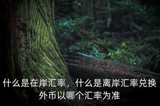 什么是在岸匯率，什么是離岸匯率兌換外幣以哪個匯率為準
