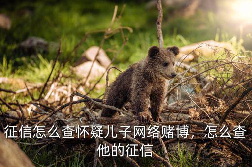 征信怎么查懷疑兒子網(wǎng)絡(luò)賭博，怎么查他的征信
