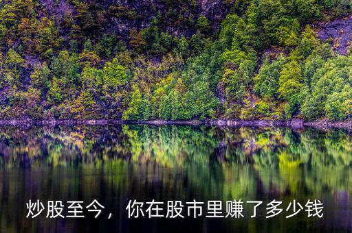 炒股至今，你在股市里賺了多少錢
