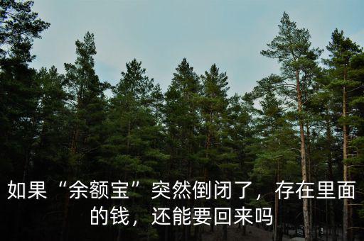 如果“余額寶”突然倒閉了，存在里面的錢，還能要回來(lái)嗎