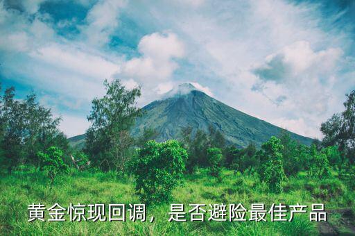 黃金驚現(xiàn)回調(diào)，是否避險最佳產(chǎn)品