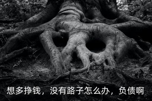 想多掙錢，沒有路子怎么辦，負(fù)債啊