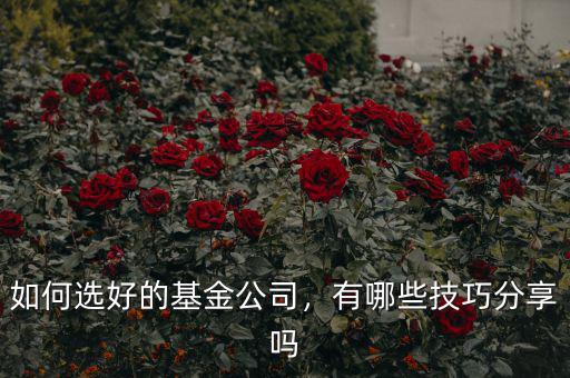 如何選好的基金公司，有哪些技巧分享嗎