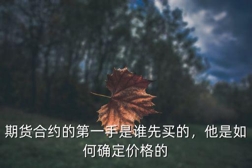 期貨合約的第一手是誰先買的，他是如何確定價格的