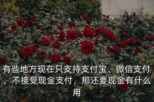 有些地方現(xiàn)在只支持支付寶、微信支付，不接受現(xiàn)金支付，那還要現(xiàn)金有什么用