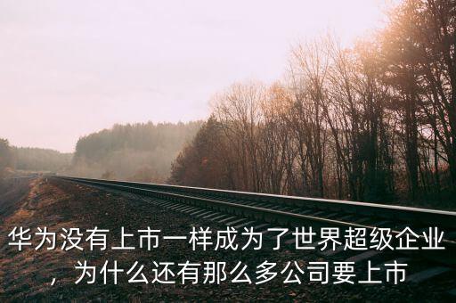 華為沒有上市一樣成為了世界超級(jí)企業(yè)，為什么還有那么多公司要上市