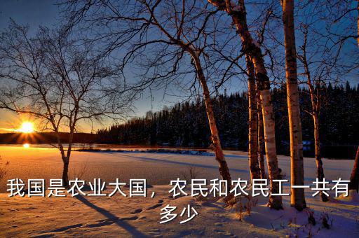 我國是農業(yè)大國，農民和農民工一共有多少