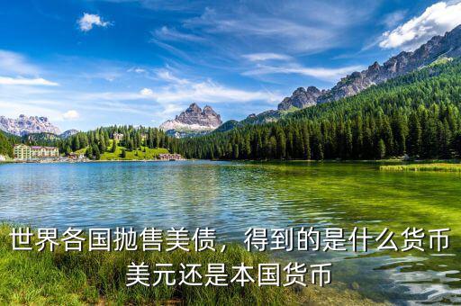 世界各國拋售美債，得到的是什么貨幣美元還是本國貨幣