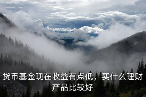 貨幣基金買(mǎi)什么好,貨幣基金現(xiàn)在收益有點(diǎn)低
