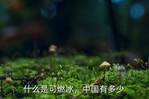什么是可燃冰，中國有多少