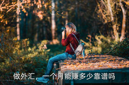 做外匯，一個(gè)月能賺多少靠譜嗎