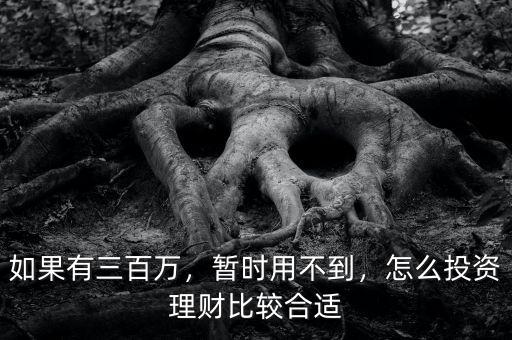 如果有三百萬，暫時用不到，怎么投資理財比較合適