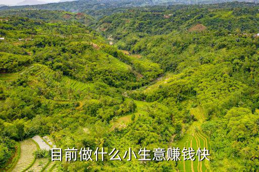 目前做什么小生意賺錢(qián)快