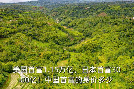 美國首富1.15萬億，日本首富3000億！中國首富的身價(jià)多少