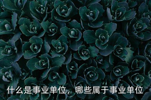 什么是事業(yè)單位，哪些屬于事業(yè)單位