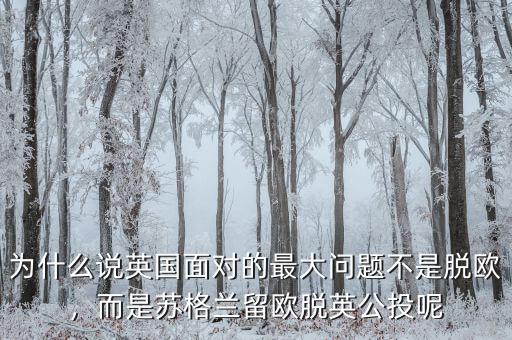 為什么說英國面對的最大問題不是脫歐，而是蘇格蘭留歐脫英公投呢