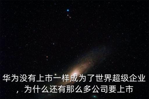 華為沒(méi)有上市一樣成為了世界超級(jí)企業(yè)，為什么還有那么多公司要上市