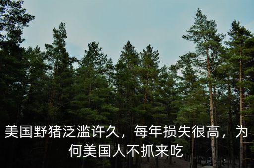 美國野豬泛濫許久，每年損失很高，為何美國人不抓來吃