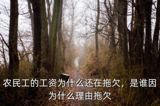 農(nóng)民工的工資為什么還在拖欠，是誰(shuí)因?yàn)槭裁蠢碛赏锨? class=