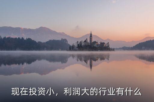 現(xiàn)在投資小，利潤大的行業(yè)有什么