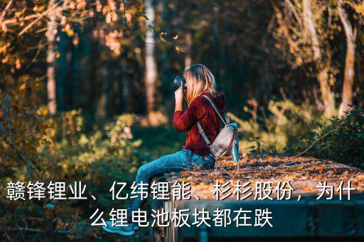 贛鋒鋰業(yè)、億緯鋰能、杉杉股份，為什么鋰電池板塊都在跌