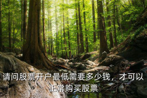 請(qǐng)問(wèn)股票開(kāi)戶(hù)最低需要多少錢(qián)，才可以正常購(gòu)買(mǎi)股票