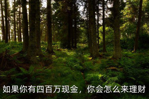 如果你有四百萬現(xiàn)金，你會怎么來理財