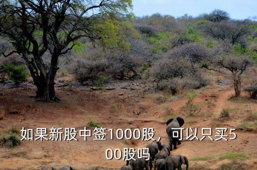 如果新股中簽1000股，可以只買500股嗎