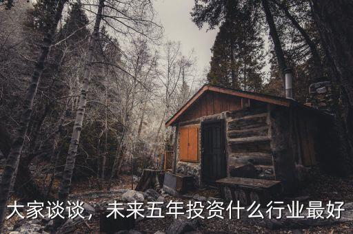 大家談?wù)?，未來五年投資什么行業(yè)最好