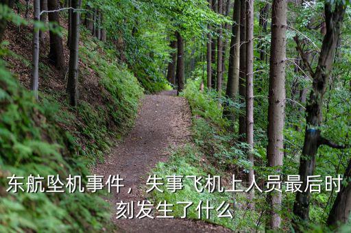 東航墜機(jī)事件，失事飛機(jī)上人員最后時(shí)刻發(fā)生了什么