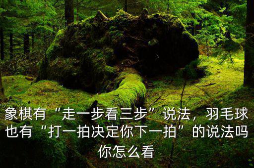 象棋有“走一步看三步”說法，羽毛球也有“打一拍決定你下一拍”的說法嗎你怎么看