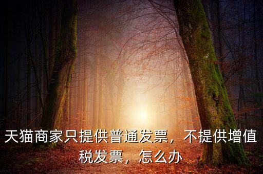 天貓商家只提供普通發(fā)票，不提供增值稅發(fā)票，怎么辦