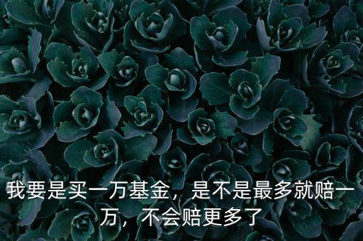 我要是買一萬基金，是不是最多就賠一萬，不會(huì)賠更多了