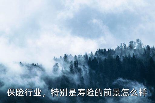 保險(xiǎn)行業(yè)，特別是壽險(xiǎn)的前景怎么樣