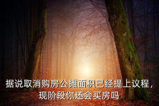 據(jù)說取消購房公攤面積已經(jīng)提上議程，現(xiàn)階段你還會買房嗎