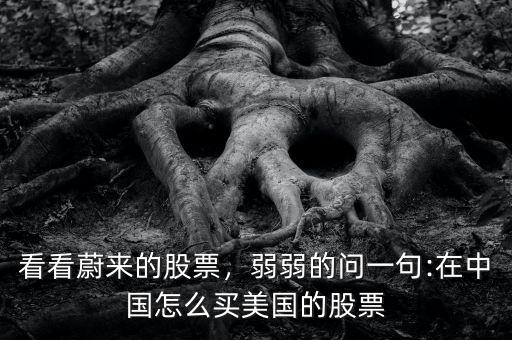 看看蔚來的股票，弱弱的問一句:在中國(guó)怎么買美國(guó)的股票