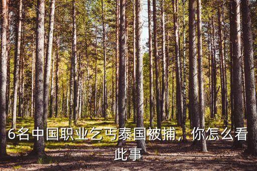 6名中國職業(yè)乞丐泰國被捕，你怎么看此事