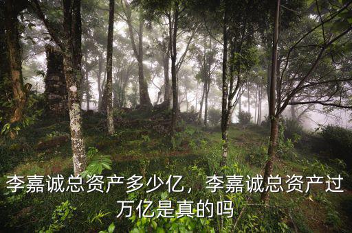 李嘉誠(chéng)總資產(chǎn)多少億，李嘉誠(chéng)總資產(chǎn)過(guò)萬(wàn)億是真的嗎