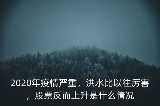 2020年疫情嚴重，洪水比以往厲害，股票反而上升是什么情況