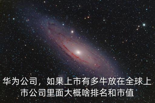 華為公司，如果上市有多牛放在全球上市公司里面大概啥排名和市值
