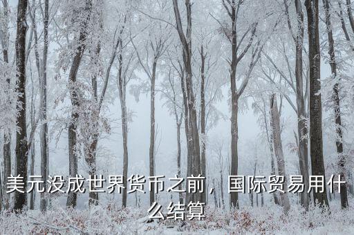 美元沒(méi)成世界貨幣之前，國(guó)際貿(mào)易用什么結(jié)算