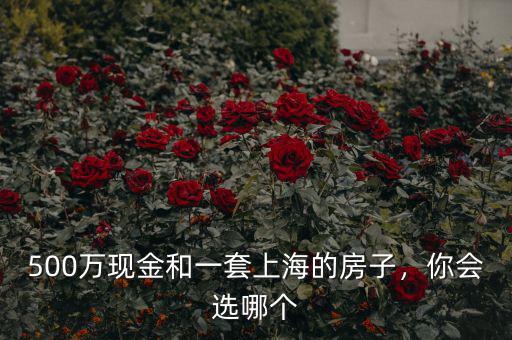 500萬(wàn)現(xiàn)金和一套上海的房子，你會(huì)選哪個(gè)
