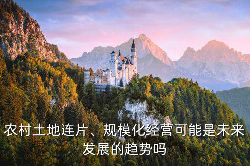 農(nóng)村土地連片、規(guī)模化經(jīng)營(yíng)可能是未來(lái)發(fā)展的趨勢(shì)嗎