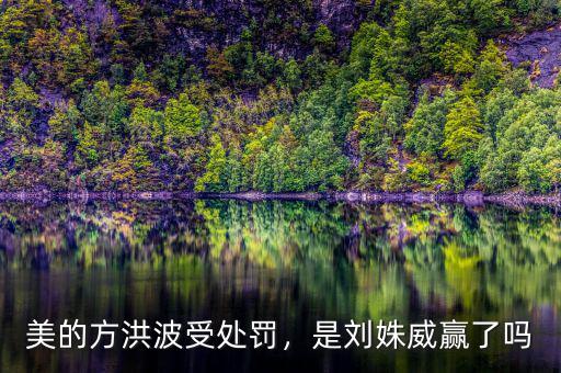 美的方洪波受處罰，是劉姝威贏了嗎