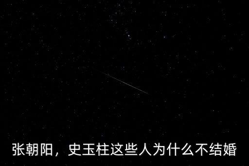 張朝陽(yáng)，史玉柱這些人為什么不結(jié)婚