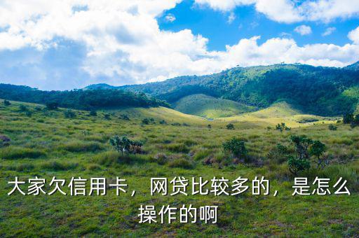 大家欠信用卡，網(wǎng)貸比較多的，是怎么操作的啊
